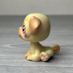 Image #5